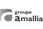 groupe_amalia_NB